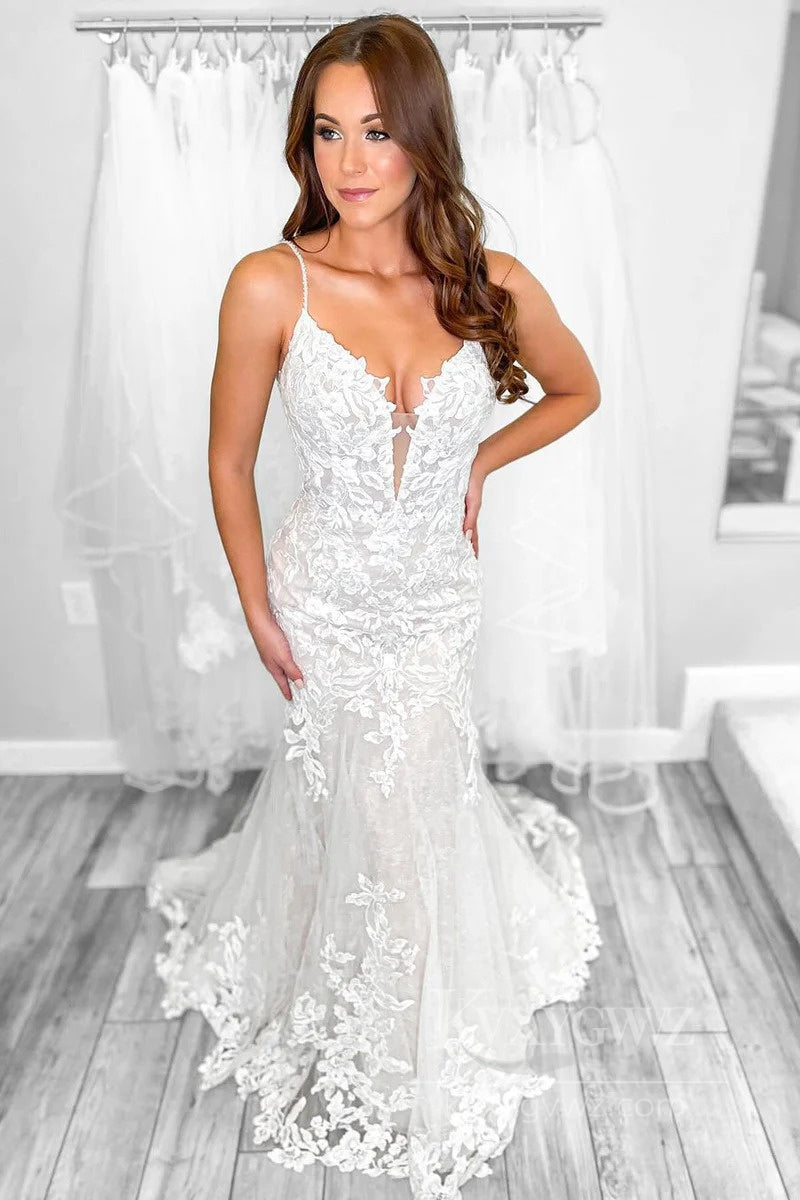 Elegant Lace V-Neck Wedding Dress with Floral Detailing Bridal Gown HS536