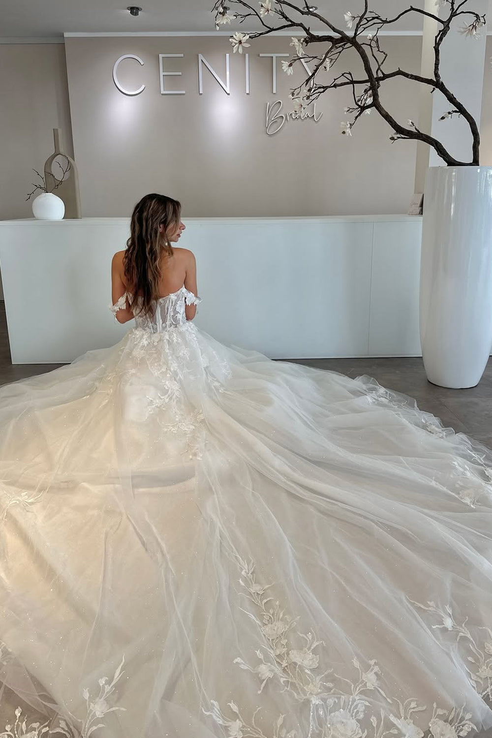 Pastoral Style A Line Off the Shoulder Tulle Wedding Dresses Gown with Appliques HS882