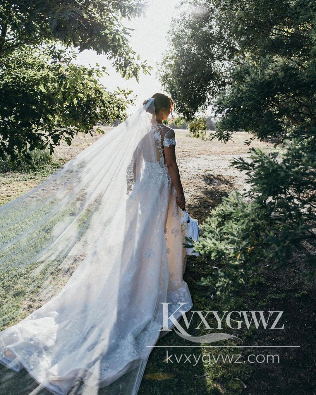 Pastoral Style A Line V Neck Cap Sleeves Tulle Wedding Dresses Gown with Lace HS975