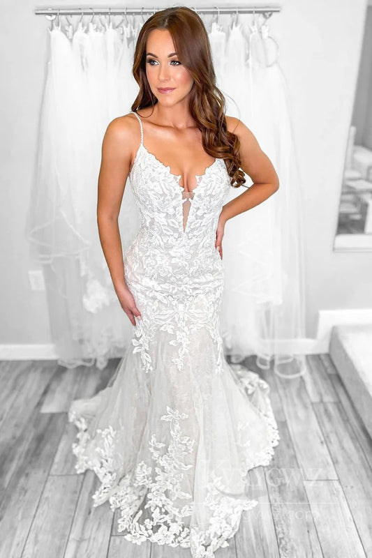 Elegant Lace V-Neck Wedding Dress with Floral Detailing Bridal Gown HS536