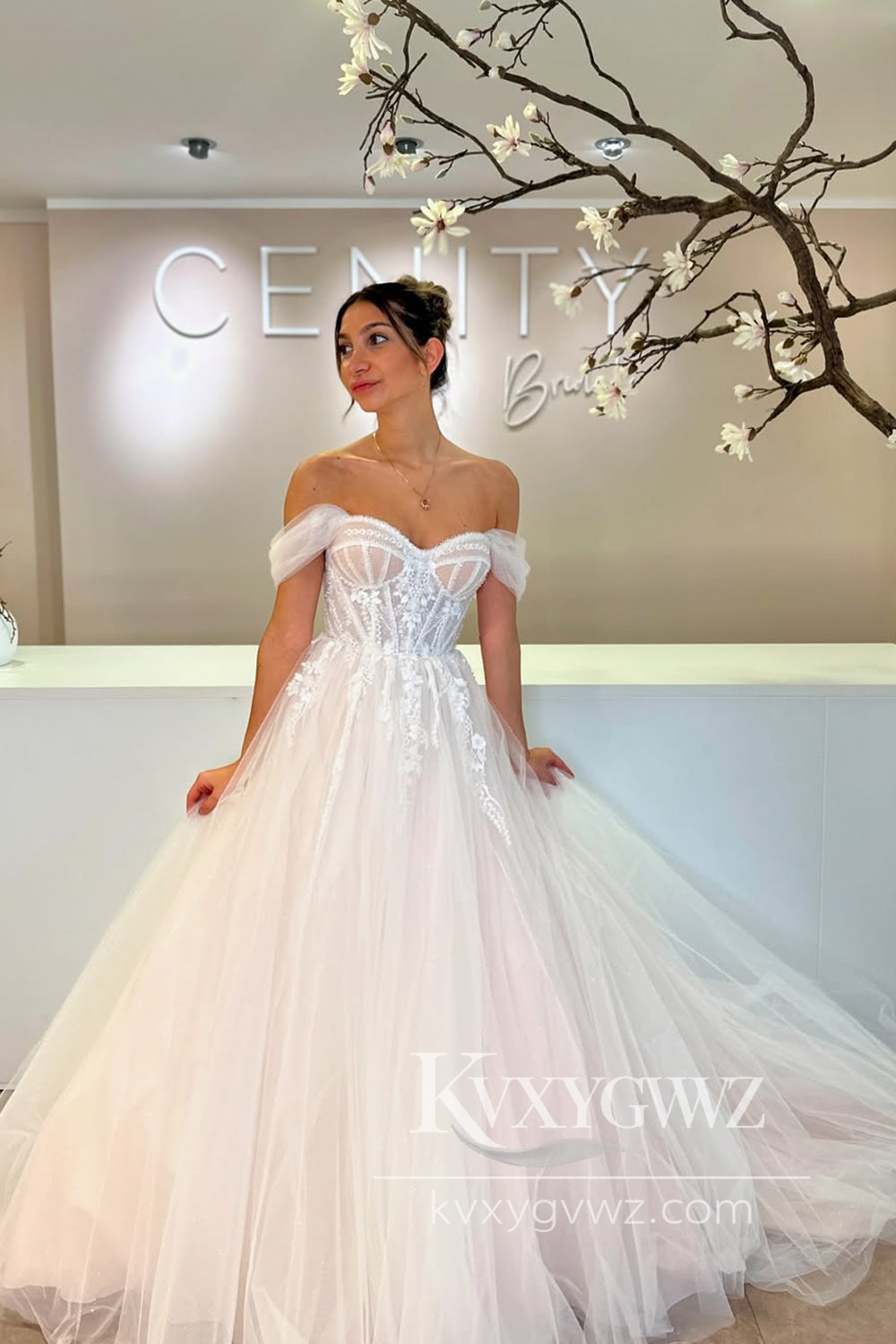 Pastoral Style A Line Off the Shoulder Tulle Wedding Dresses Gown with Appliques HS882