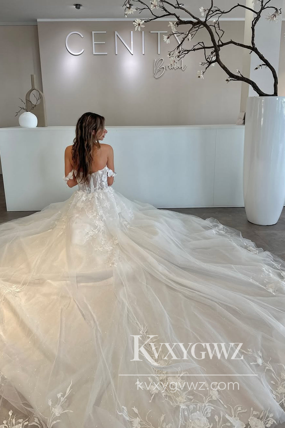 Pastoral Style A Line Off the Shoulder Tulle Wedding Dresses Gown with Appliques HS882